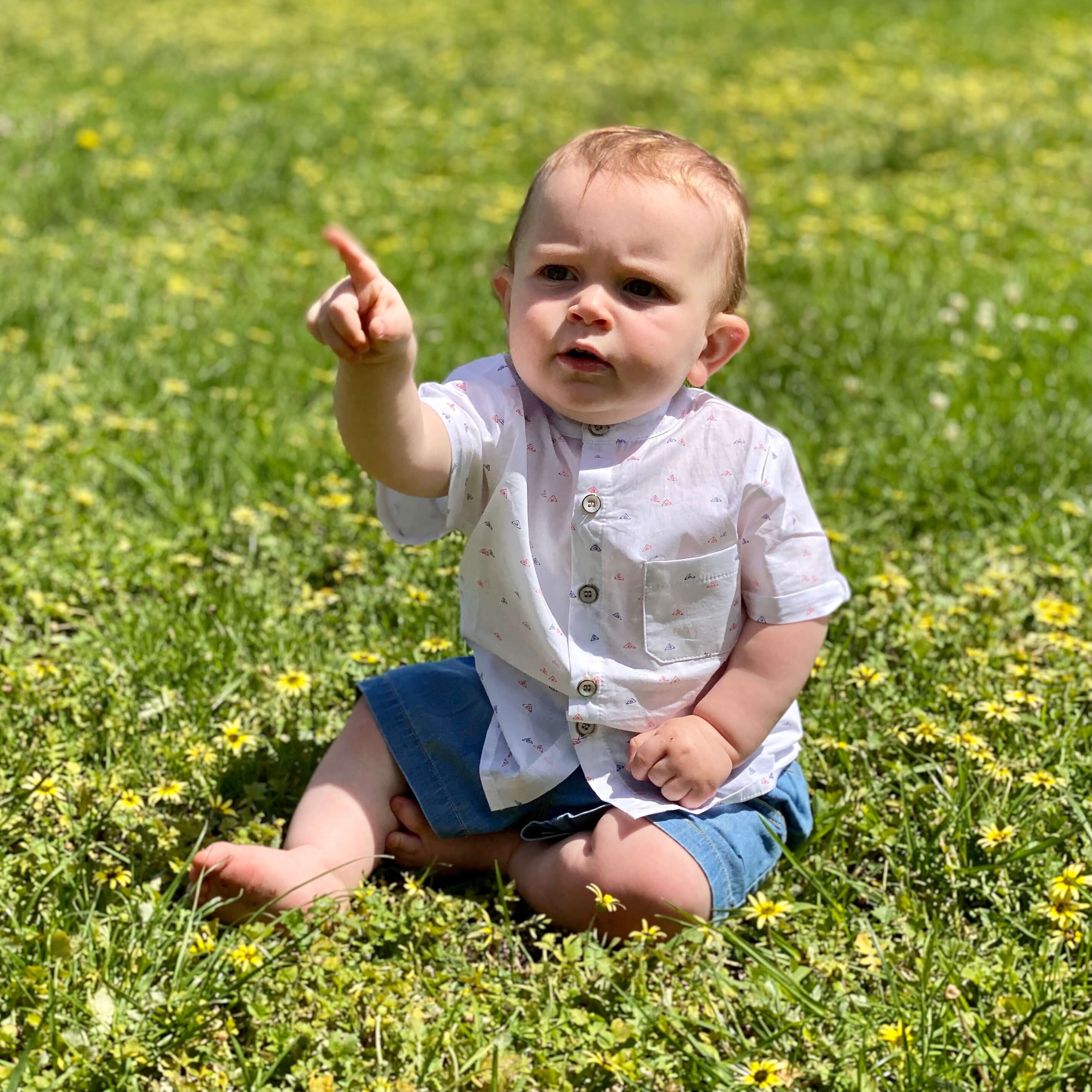 Short Sleeve Shirt Trianges