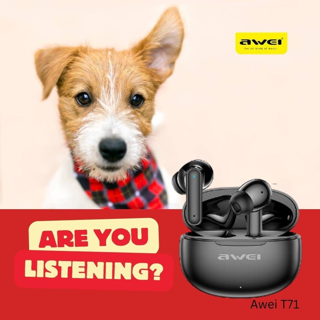 Wireless Earbuds + Charging Case - Bluetooth - 6 Hours Playback!!!