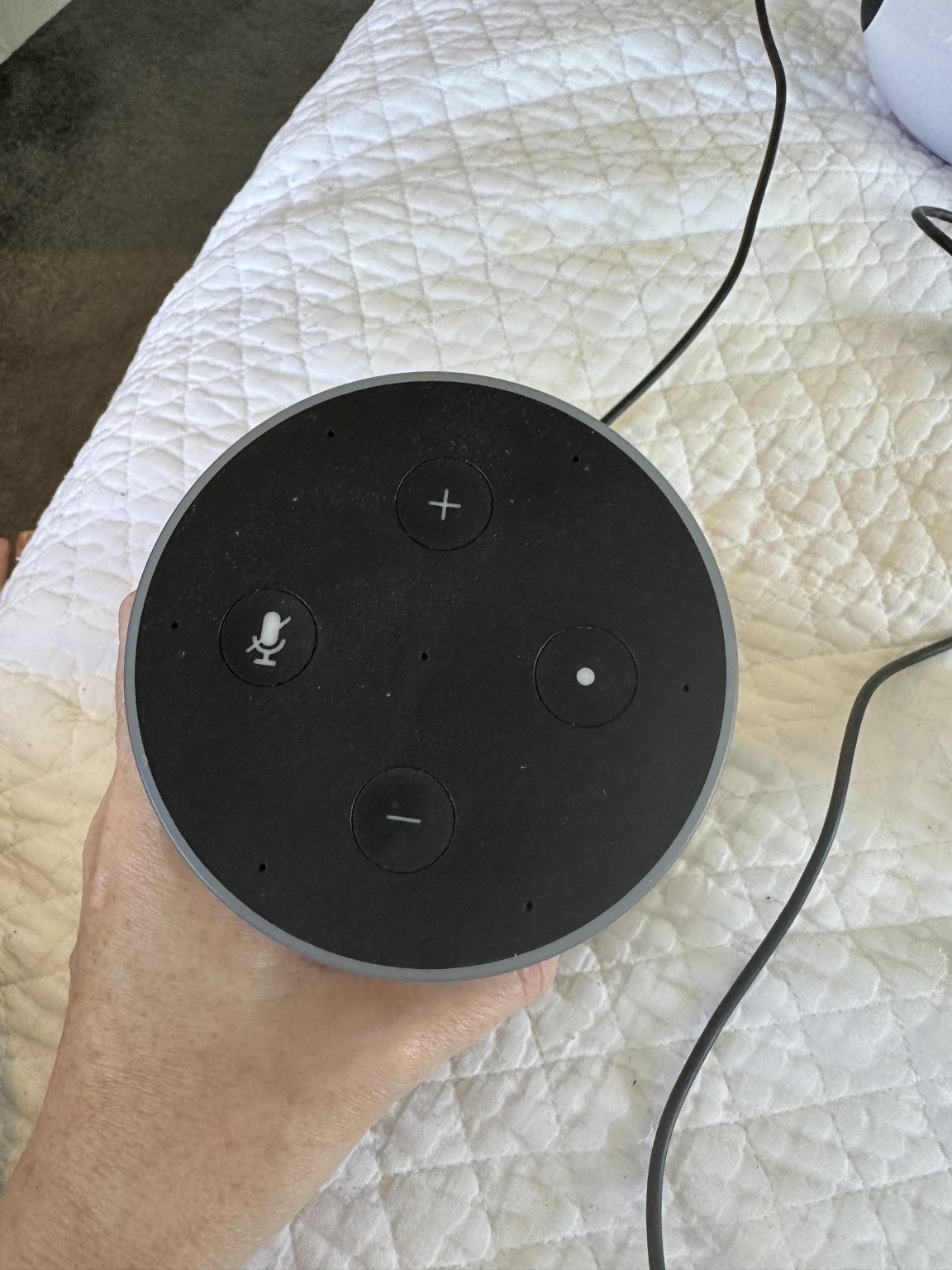 Amazon Echo Alexa