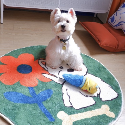 Bedroom Cashmere Thick Carpet Around West Highland