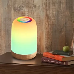Touch LED Night Light  Dimmable Color Changing Lamp with Wood Grain Finish and Timer | USB Rechargeable Desk Light for a Modern, Calming Glow