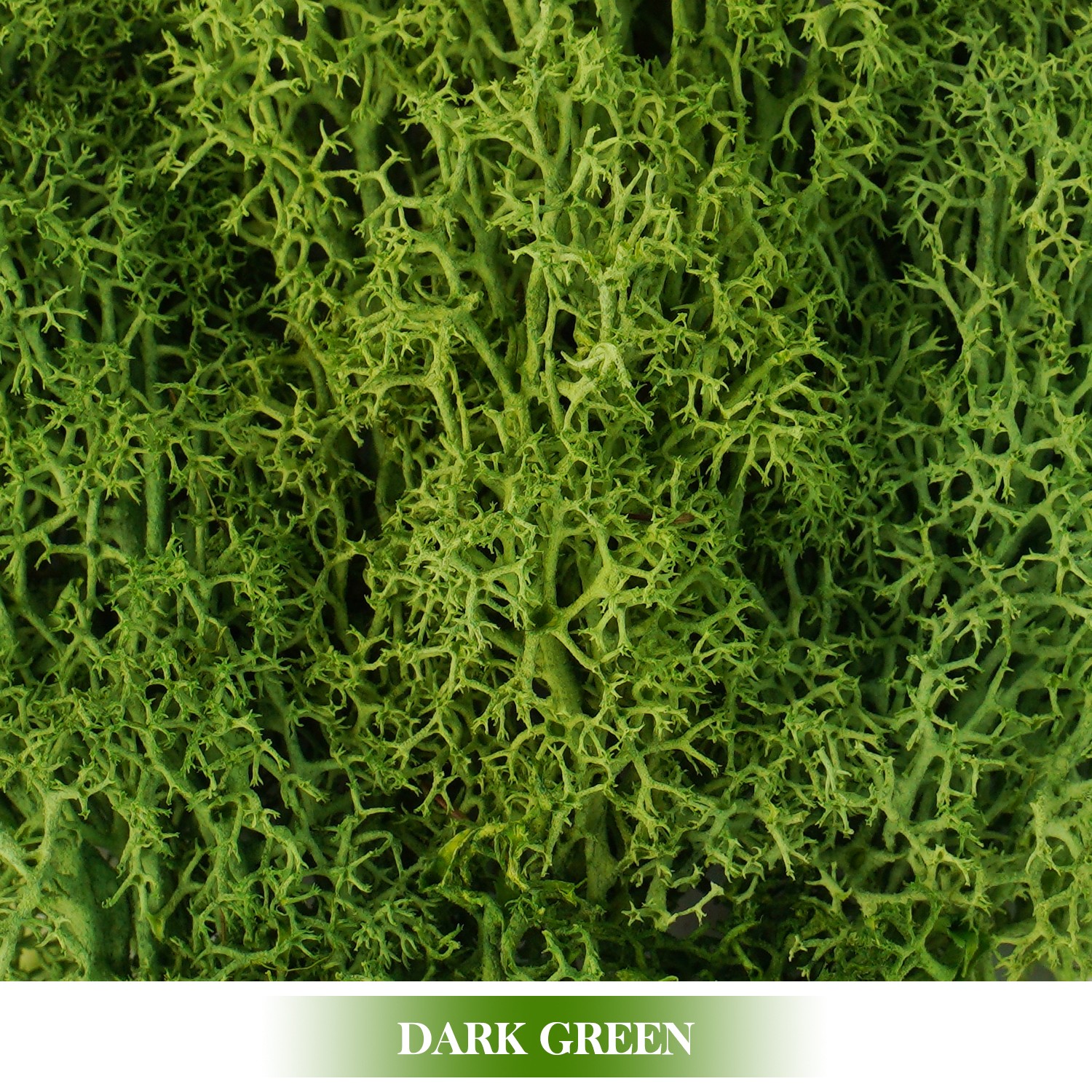 Artificial Green Plants Eternal Life Moss