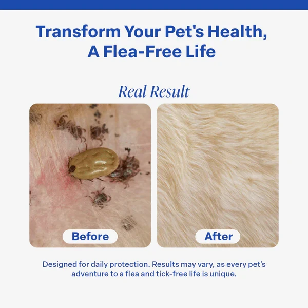 Dr Paws 8 Months Flea and Tick Free Cats