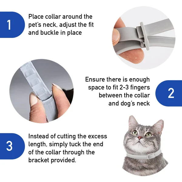 Dr Paws 8 Months Flea and Tick Free Cats