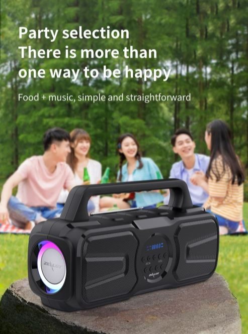 Speaker, Zealot P2, 40W, 8000mAh, With Wire Microphone,