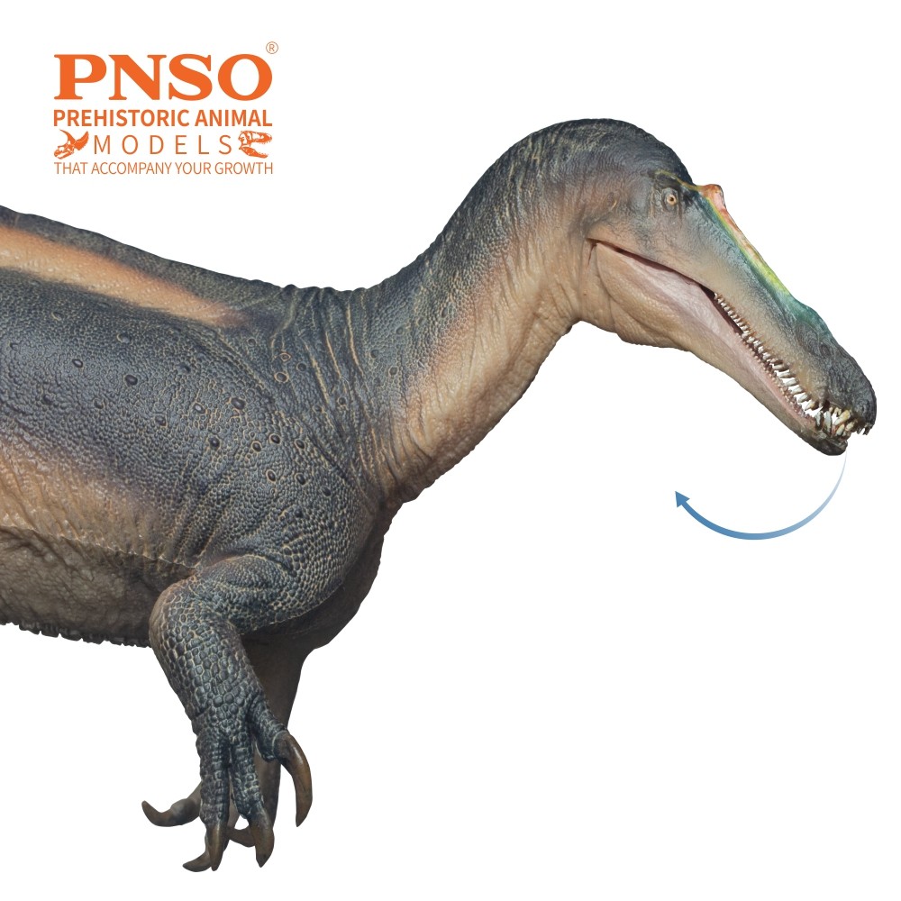 PNSO Prehistoric Dinosaur Model 67 ThaBo the Suchomimus