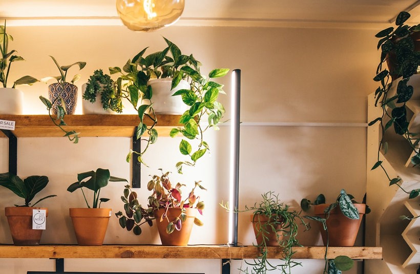 PlantSpectrum32 modular grow light