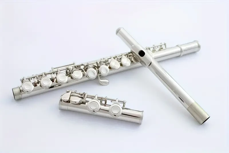 Xinmel Professional C-Tone Flute With 16 Closed Holes, Nickel Plated - Includes Case & Maintenance Kit For Stage Performances