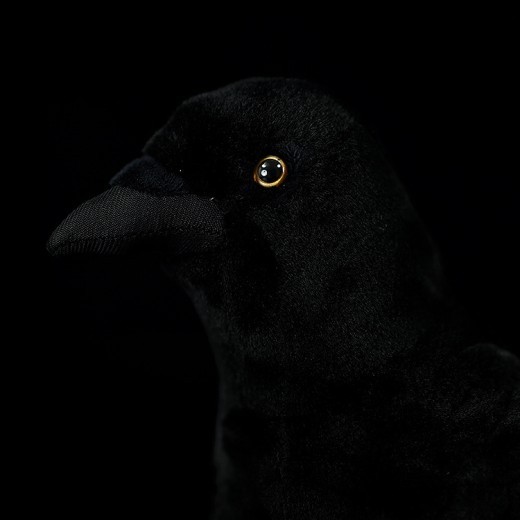 Cute Simulation Big Mouth Crow Plush Toy