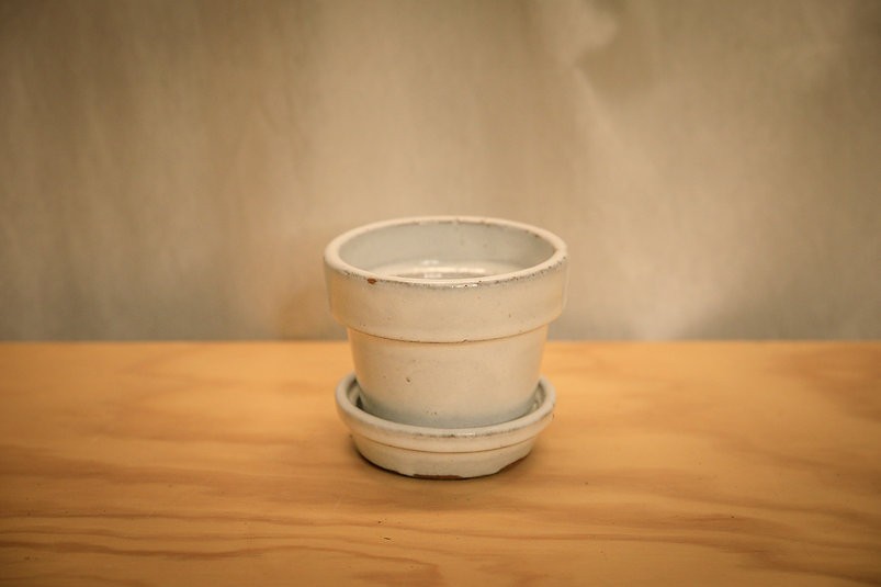 White ceramic planter