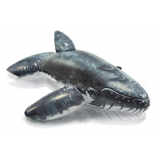 Simulation Whale Shape Children's Mount