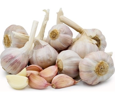 GARLIC NZ/USA - WHOLE (NOT PEELED) (PER KG) - [PRODUCE]
