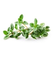 HERB THYME (PER KG) - [PRODUCE]