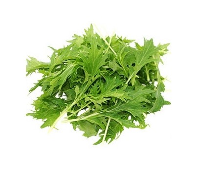 LETTUCE MIZUNA (PER KG) - [PRODUCE]