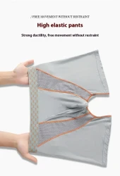 Men's Boxers Transparent Mesh Shorts