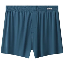 Men's Ice Silk Underwear Plus Size Loose Boxer Lake Blue