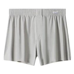 Men's Ice Silk Underwear Plus Size Loose Boxer Light Gray