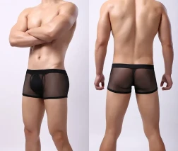 Men's Underwear Mesh Mesh Breathable Boxers Low Waist Transparent Boxers Youth Cool Shorts Black