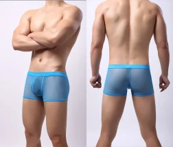 Men's Underwear Mesh Mesh Breathable Boxers Low Waist Transparent Boxers Youth Cool Shorts Light Blue