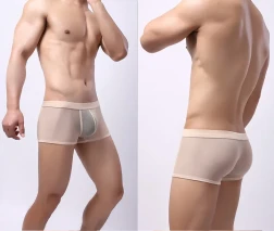 Men's Underwear Mesh Mesh Breathable Boxers Low Waist Transparent Boxers Youth Cool Shorts Skin Color