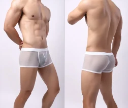 Men's Underwear Mesh Mesh Breathable Boxers Low Waist Transparent Boxers Youth Cool Shorts White