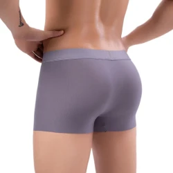 Ice Silk Underwear Men's Casual Cut Boxers Seamless Close-fitted And Comfortable Modal Mid-rise Pants Dark Gray