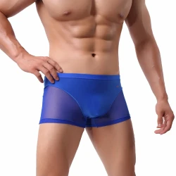 Nude Feel Comfortable Men's Stitching Thin Ice Silk Boxers Royal Blue