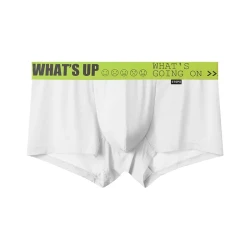 Men's Thin Ice Silk Mid-rise Boxers Briefs White