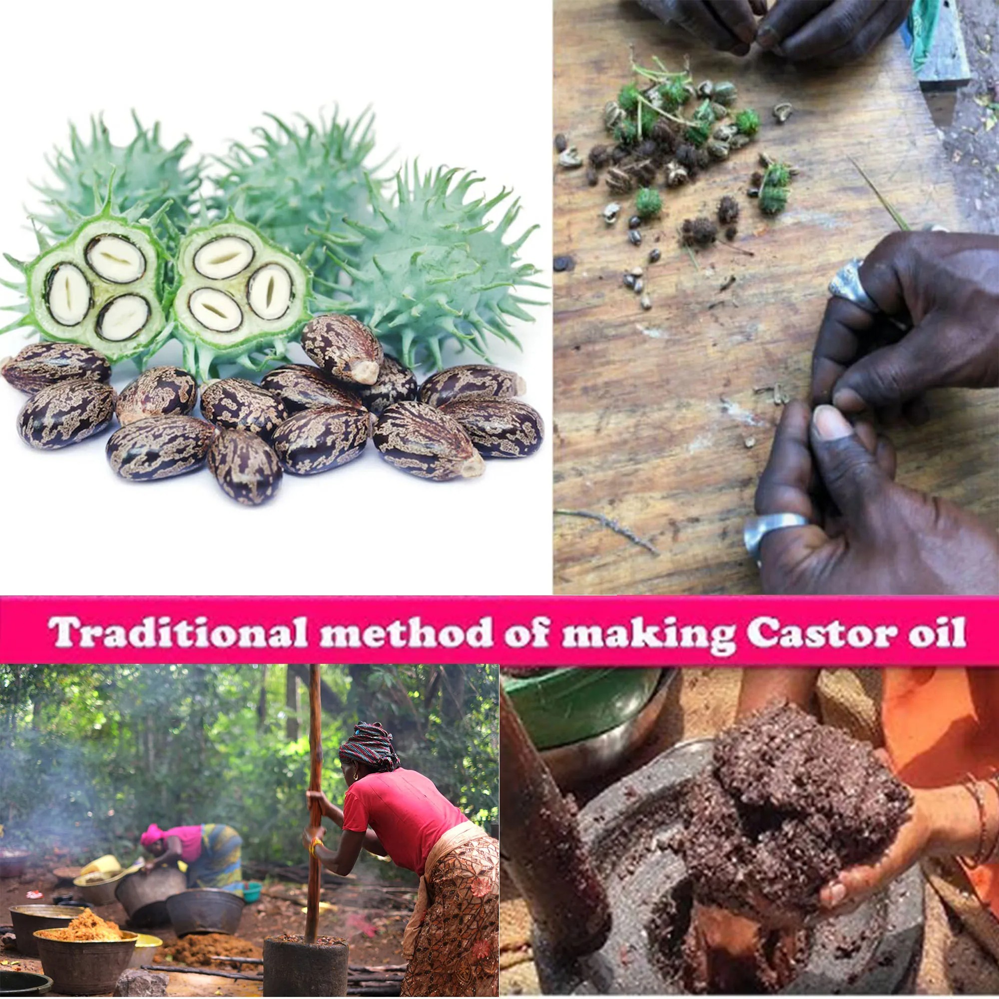 Artisanal Traditional Powerful Hair Nourishing Oil  Promoting Long, Natural Hair Growth