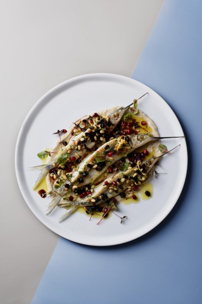 White Album Round Flared Coupe Plate 27cm - Royal Porcelain