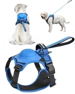 Harness and Retractable Leash Set All-in-One