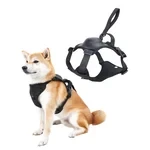 Harness and Retractable Leash Set All-in-One