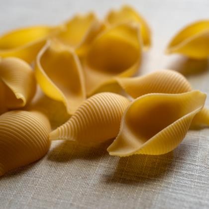 Pasta Sea Shells Large