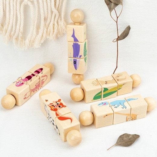 3D Puzzle With Versatile Puzzle Blocks