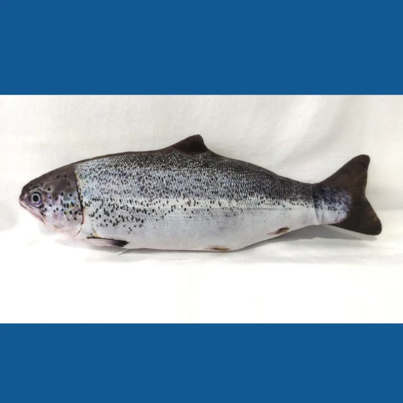 Realistic Fish Plush Toys for Cats