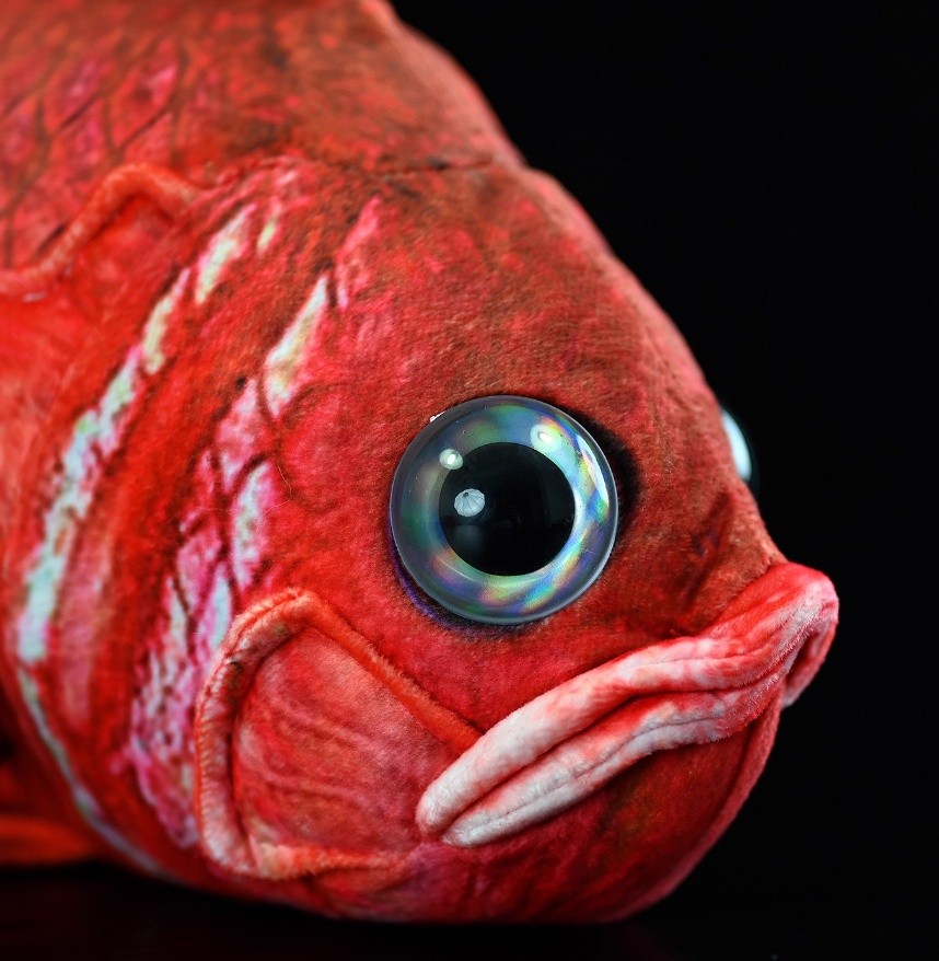 Creative Cartoon Fish Simulation Huibishou Bream Doll