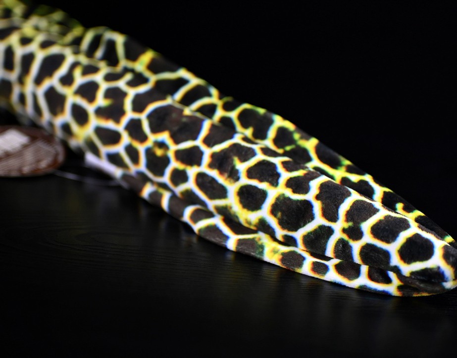 Cute Star Eel Plush Toy With A Realistic Kangji Eel Figurine