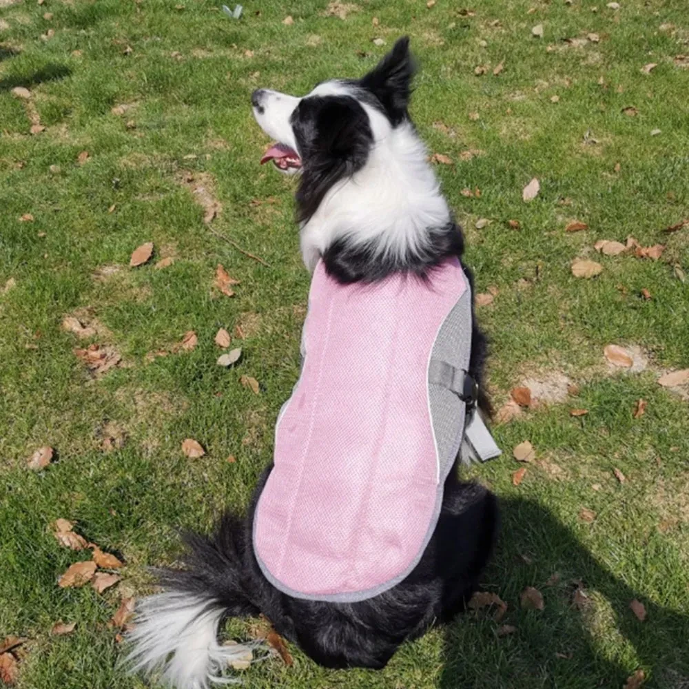 Dog Cooling Vest