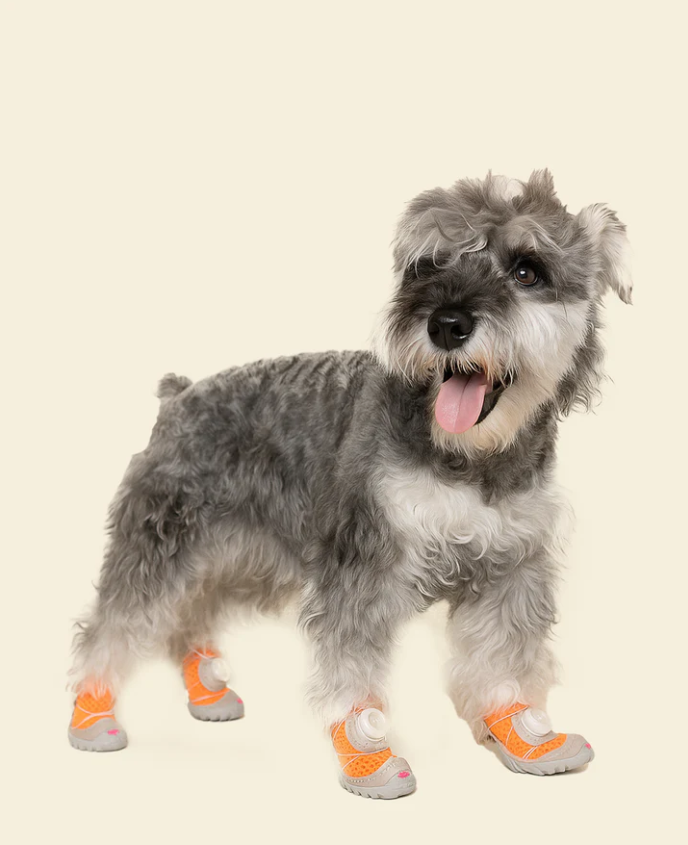 Dog Shoes  Breathable, Secure & Stylish Paw Protection for Summer Adventures!