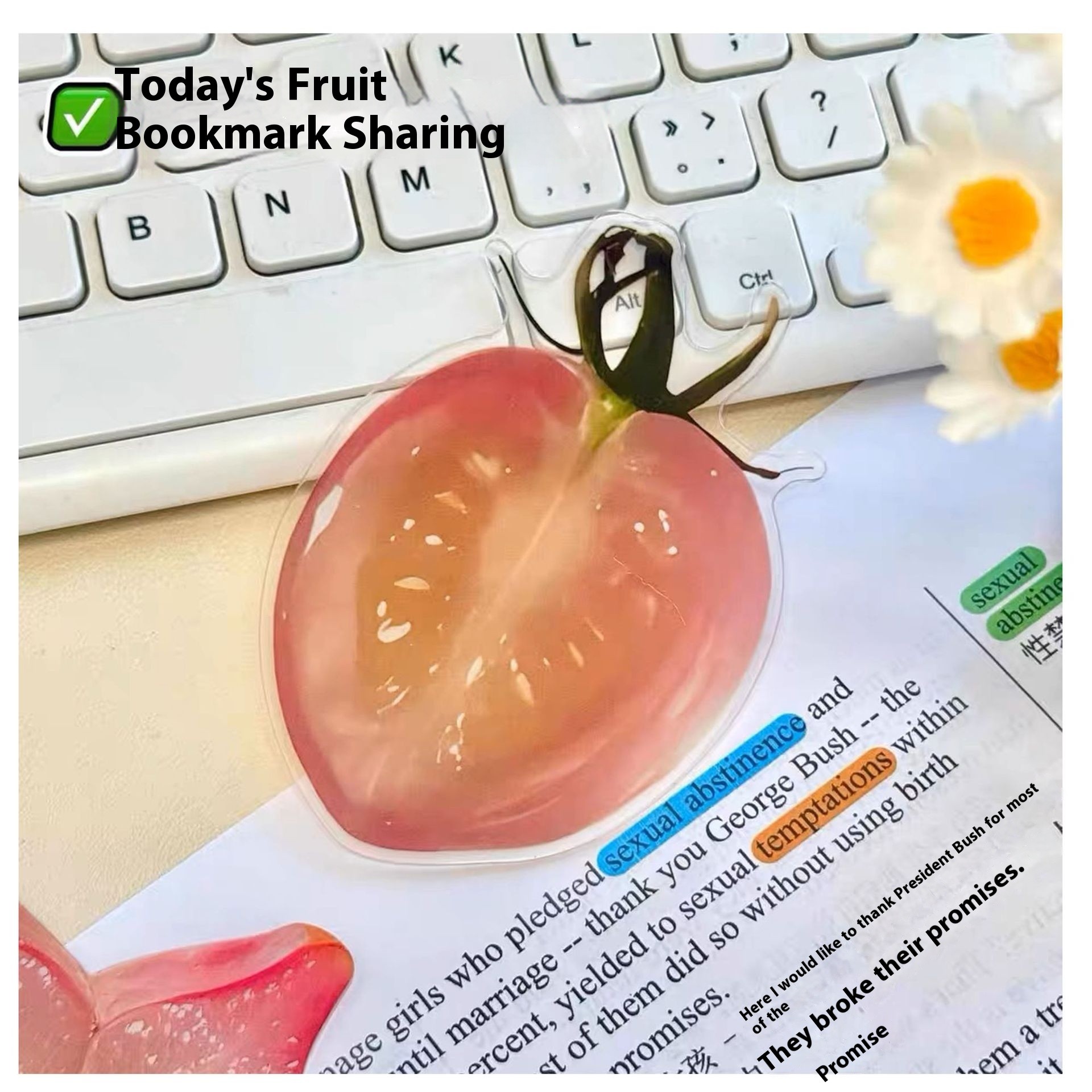 Cute Fixed Book Photo Bookmark Cartoon Creative Watermelon Fruit Bookmark