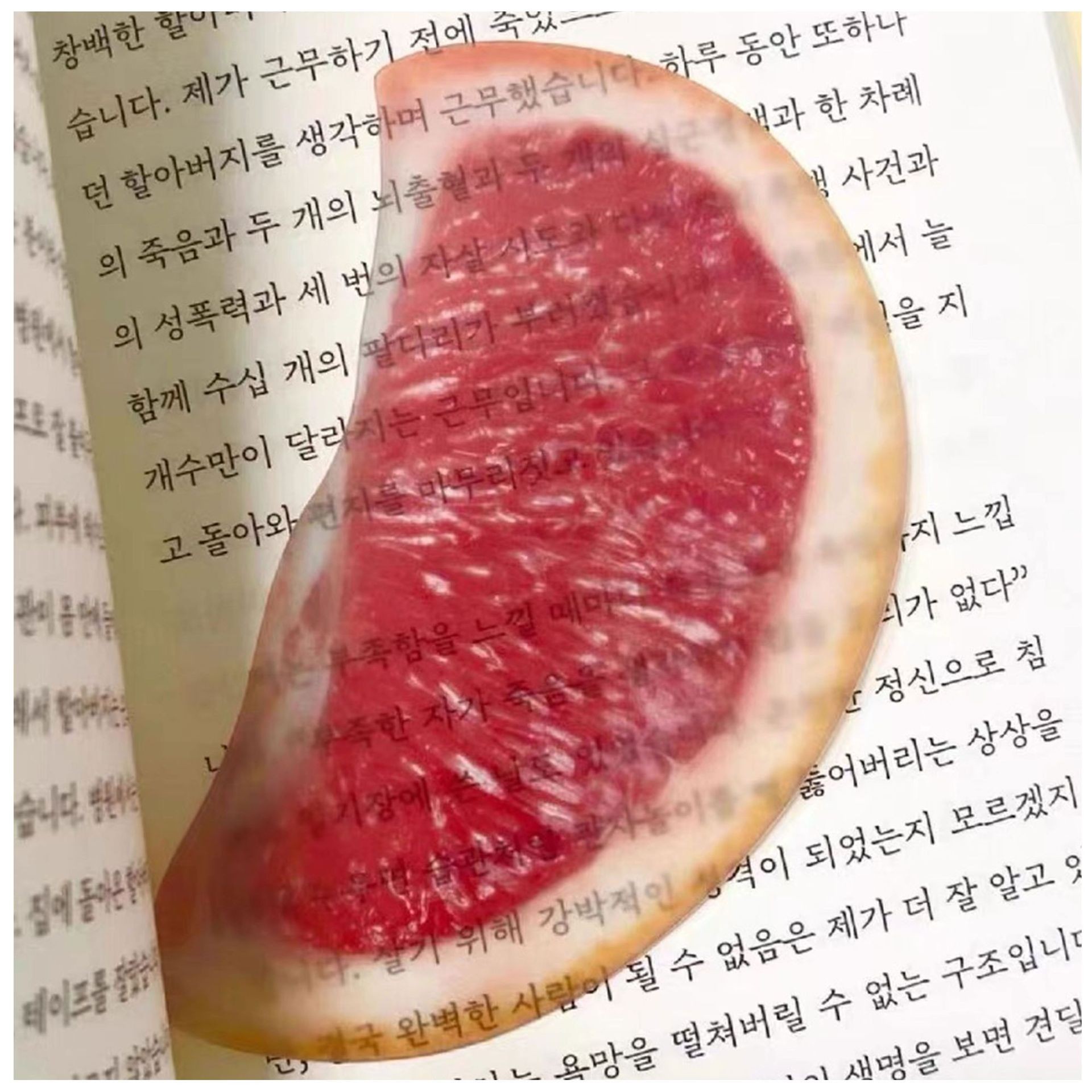 Cute Fixed Book Photo Bookmark Cartoon Creative Watermelon Fruit Bookmark