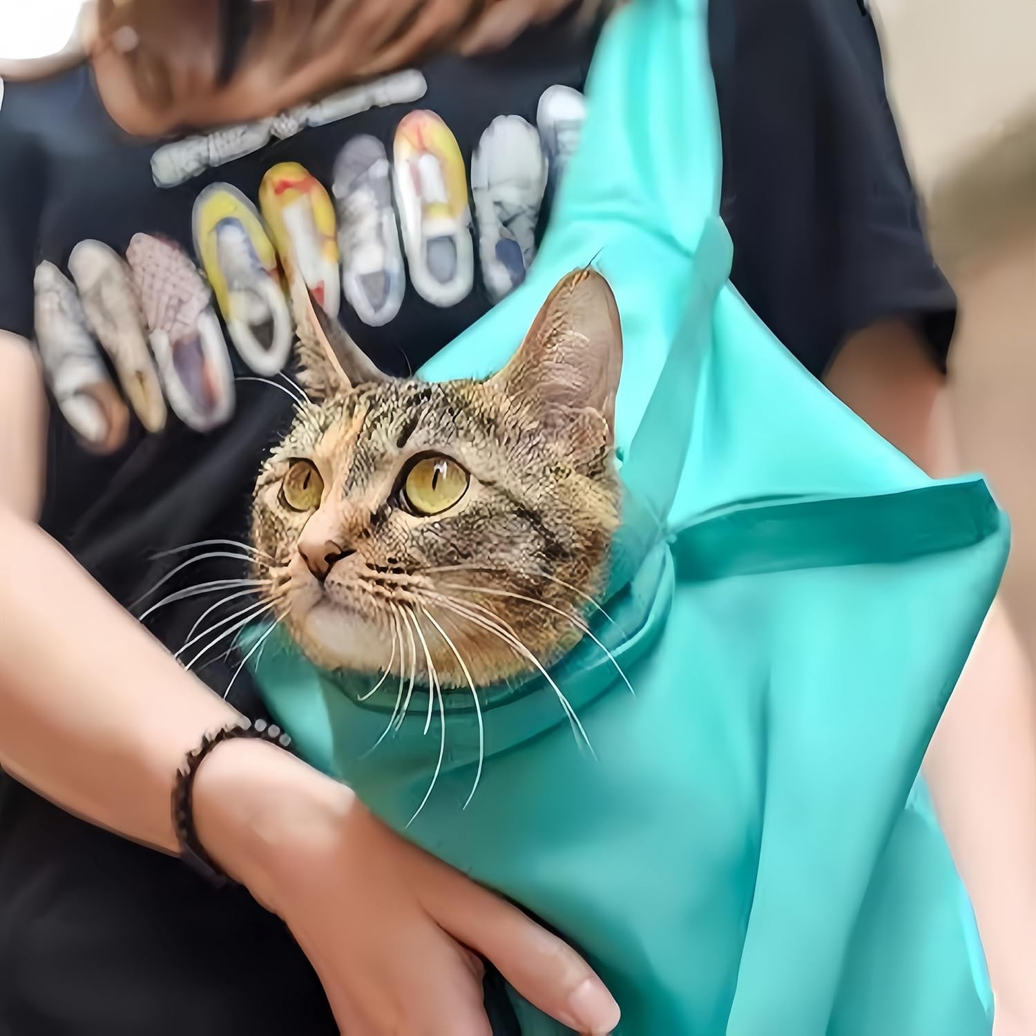 Cat Carrier Pouch