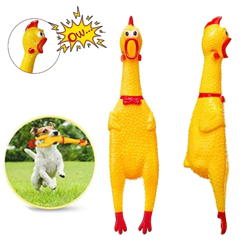 Rubber Chicken