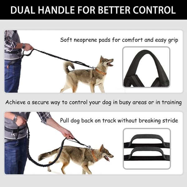 Hands Free Dog Leash with Zipper Pouch