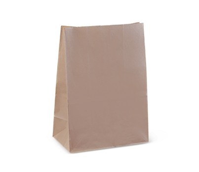 BAGS SOS 305X215X120 KRAFT C 250s/SLV (DETPAK C606S0010D)