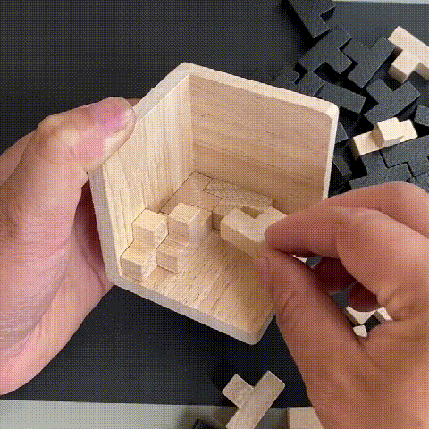 Wooden Intelligence Toy Brain Teaser Game
