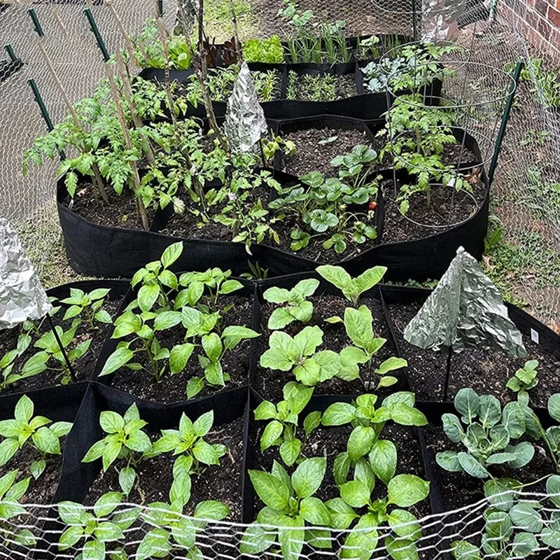Multi-Chamber Grow Tent