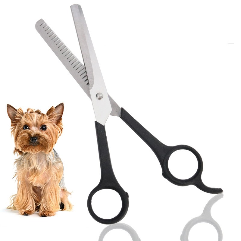 dog grooming scissors