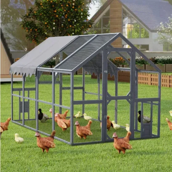 Chicken Coop