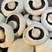 MUSHROOM FLAT SLICED PRE ORDER ONLY